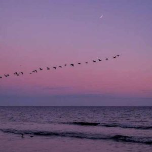 دانلود اهنگ ماشین گلیر قیرمیزی ایچی دولی خوی قیزی